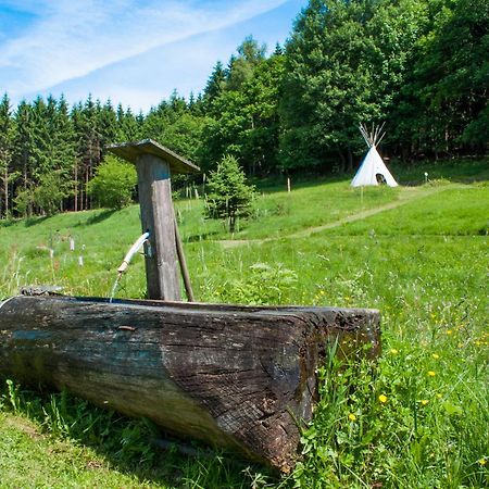 Haus Sohl Am Rothaarsteig Apartman Bad Laasphe Kültér fotó